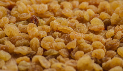 raisins golden close up