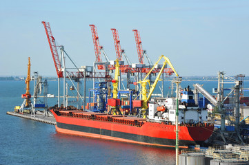 Bulk cargo ship under port crane