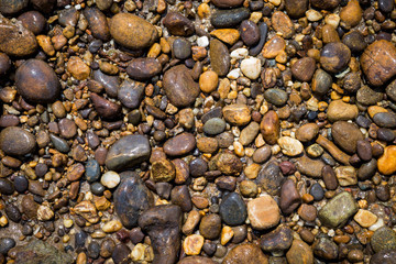 Round pebble stone background, river beach outdoor day light