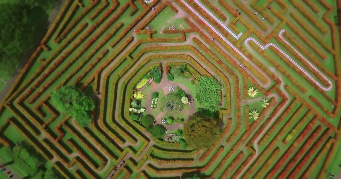 JAKARTA, Indonesia. April 25, 2017: Top view of beautiful garden with labyrinth plants in Cipanas, West Java, Indonesia. Professional shot in 4K resolution