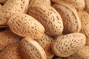 a close up macro shot of lot of almond nuts in the shell with selective focus