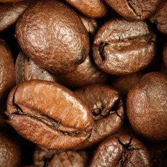 Coffee Beans Caffeine Roasted Brown Espresso wallpaper close up. Fried  Coffee Beans Texture macro