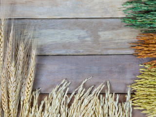 Colorful of wheat or paddy rice , like a beautiful flowers on wood background with copy space