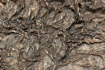 Stone texture or background