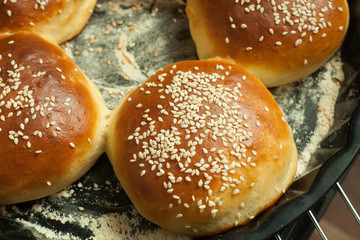 home made buns for burgers with sesame in a baking form on black background, top view
