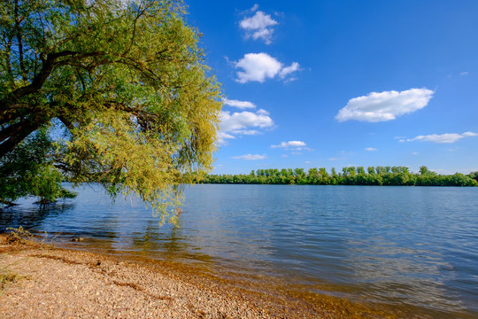 An den Ufern des Rheins