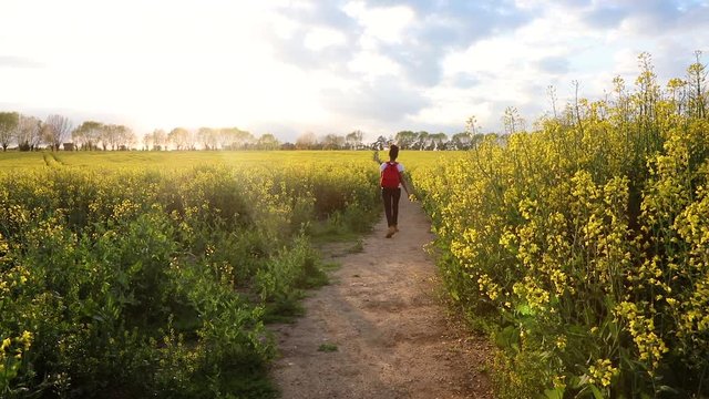 HD video clip of beautiful happy mixed race African American girl teenager female young woman hiking with red backpack walking in field of rape seed yellow flowers