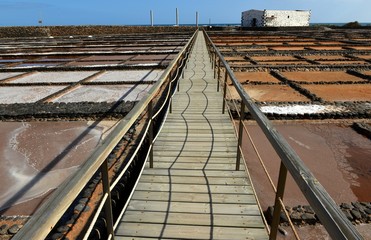 Naklejka premium Fuerteventura, salinas