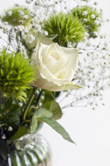 Weiße Rosen in der Vase