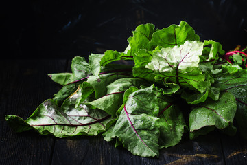 Beet tops, dark background, selective focus