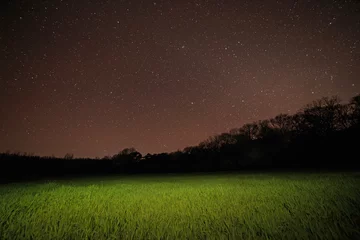 Rolgordijnen zicht op grasveld in park & 39 s nachts © romantiche