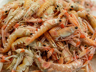 langoustine in seafood market