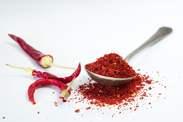 Spices and herbs on white background