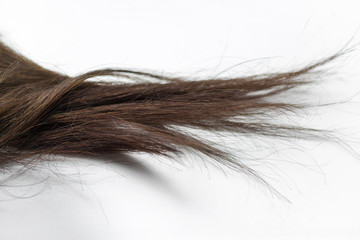 Fototapeta premium Black Hair Over White