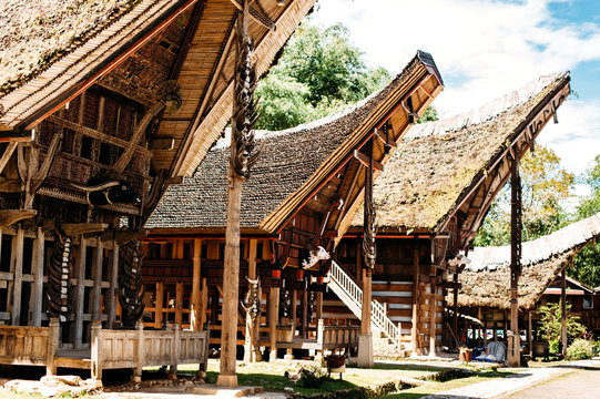 Tongkonan houses with horns of buffaloes and wood carving and paintings, traditional torajan buildings. Ethnic village Kete Kesu in Tana Toraja, Rantepao, Sulawesi, Indonesia. Wide angle