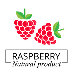 cartoon raspberry label vector