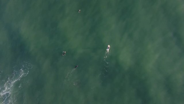 Aerial birds eye view of standup (SUP) paddle boarder and surfers
