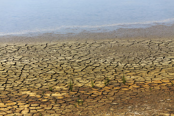 Dry land with moss on top