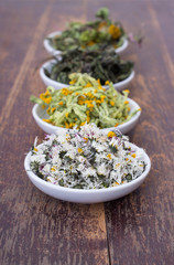 dried herbs / Bowls of various dried herbs 