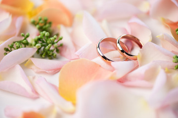 Close-up view of beautiful wedding composition with golden rings and rose petals, wedding rings and...