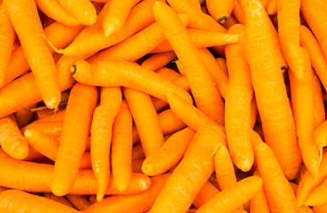 organic food carrot. background