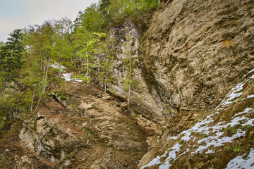 Mountains and forests