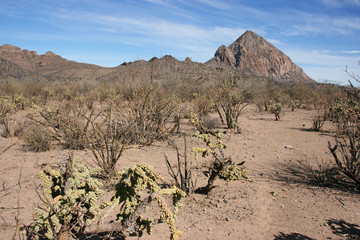 Sierra de la Giganta mountain range close to Loreto, Baja California Sur, Mexico