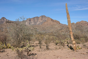 Sierra de la Giganta mountain range close to Loreto, Baja California Sur, Mexico