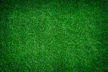 green grass for background