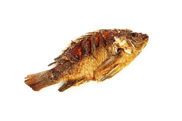 tilapia fried fish isolated on white background