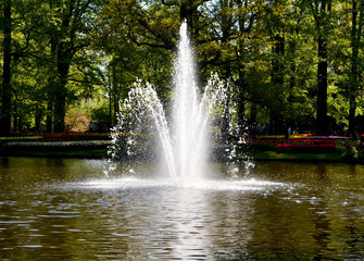 A fountain in the Keukenhof park in Netherlands