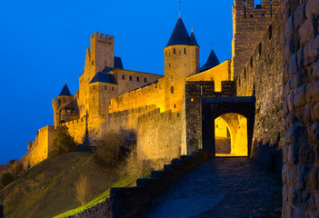 Fototapeta na wymiar Medieval castle of Carcassonne in evening