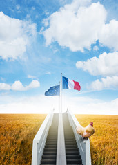 économie agriculture europe pays financer aide subvention agricole agriculteur politique pour...