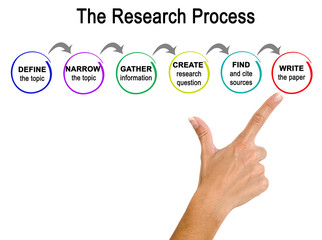  Research Process