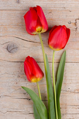 Tulips - spring flowers on wooden background