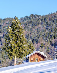 wintertime