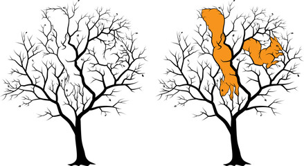 Две спрятанные белки на дереве, картинка-загадка с отгадкой. Черный силуэт на белом фоне, отгадка подсвечена оранжевым.