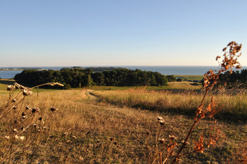 Naturparadies Zicker Berge,