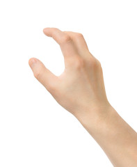 hand holding something on a white background
