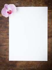 Elegant card with pink orchid flower and white empty sheet of paper