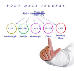 Body Max Index..