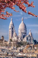 Fototapete Rund Famous Sacre Coeur Cathedral during spring time in Paris, France © Tomas Marek