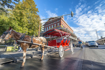 NEW ORLEANS, USA - FEBRUARY 2016: Red horse carriage along Jackson Square. New Orleans attracts 10...
