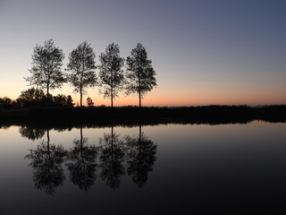 Fototapeta na wymiar reflections of trees in the water just before sunrise