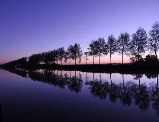 Fotobehang reflections of trees during dawn © Inge