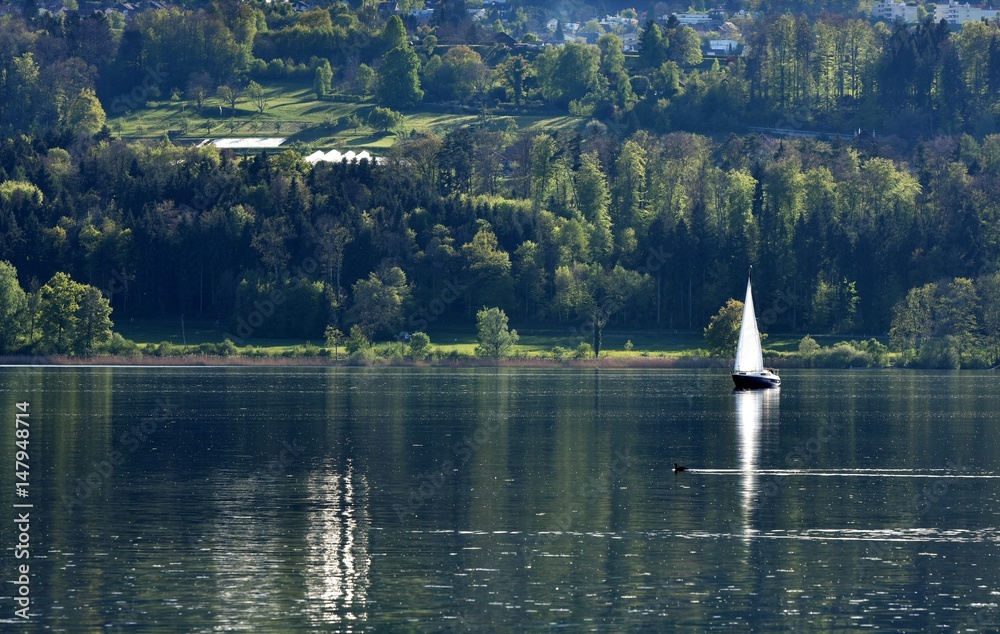 1000_F_147948714_dYQa5a6dT1q7bxpR4PC6WADNPBaZ4XHX.jpg