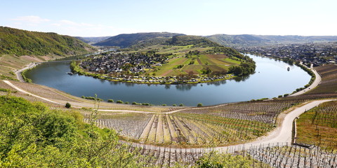 Moselschleife im Fr&uuml;hling - Deutschland