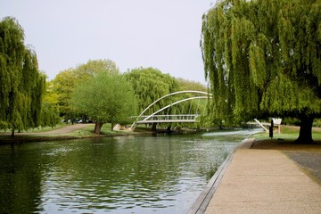 River in Bedford Park