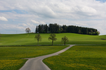 Landschaft mit Straße in Oberschwaben