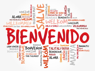 Bienvenido (Welcome in Spanish) word cloud in different languages, conceptual background